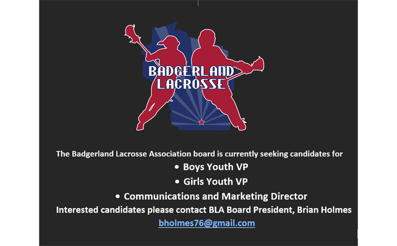 BLA seeking Girls Youth VP Candidates!